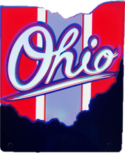 Load image into Gallery viewer, Script Ohio Light Display